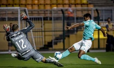 Palmeiras bate Botafogo e revê vitória depois de três partidas